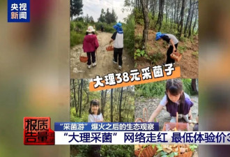 云南大理“采菌游”爆火，央媒：无序采摘已引发多起警情