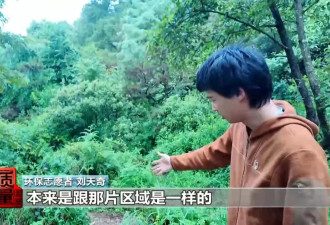 云南大理“采菌游”爆火，央媒：无序采摘已引发多起警情