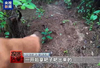 云南大理“采菌游”爆火，央媒：无序采摘已引发多起警情