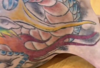 上海宠物展彩色刺青狗惹公愤 主人还炫耀没打麻醉