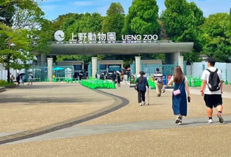 赴日旅行日记（八）游动物园