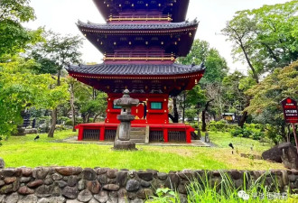 赴日旅行日记（八）游动物园