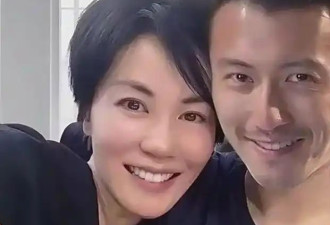 锋芝婚变主因不是王菲 而是让她3年怀孕5次的人
