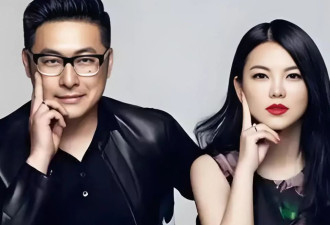 离婚夫妻商业再携手:新公司李湘持股99%,王岳伦任法定代表人