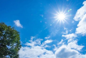 BC省多地高温 这市破百年最高气温！森林干燥增加山火危险