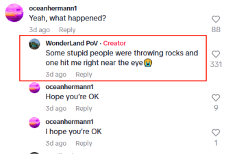 作死! Wonderland4名青少年在过山车上扔石子! 砸中路人脸!