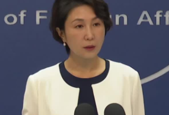 小黑屋80小时被遣返 中驻美大使馆提醒谨慎选择
