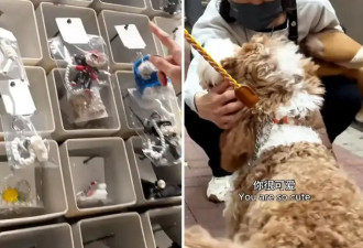 看完张曼玉的“时间表”，我羡慕哭了！