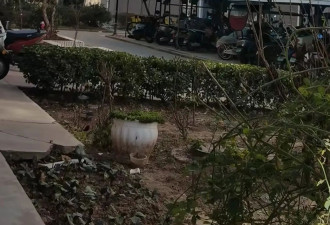 记者暗访揭"职业背债人":没拿到钱却背上百万贷款