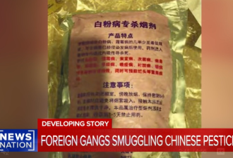剧毒农药流入加州！中国毒贩种植黑市大麻