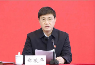 大学校长郑骏年被查!曾与他共事两名副校长已落马