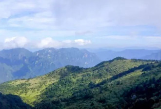 BBC：拯救中国珍稀金丝猴的战斗