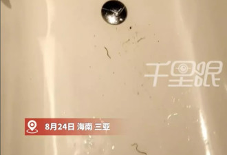 海南通报酒店浴缸冒红线虫：未严格保洁