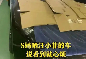 S妈起诉汪小菲，S妈就彻底不装了暴露野心