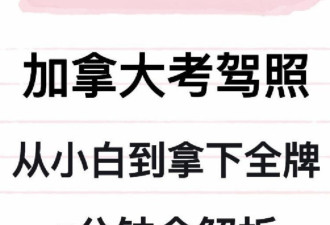 5分钟视频一次讲到位！小白如何快速拿下加拿大全牌驾照