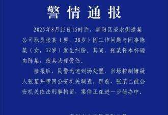 警方通报“女子称因咨询业务被男同事砸头毁容”
