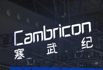 最大泡沫！寒武纪，新“股王”