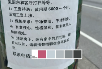 做梦都想不到：我在加拿大居然白嫖了诈骗犯2000元