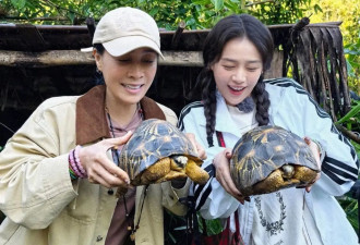 花少7马思纯被赞像“白月光回国”！穿搭在线发型有氛围感，绝美