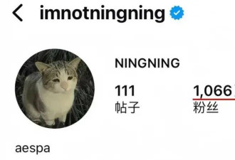 一穷二白小姑娘，靠自己 22 岁就成了时尚界宠儿？