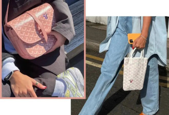 Goyard开始全面发力了