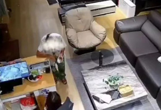 7旬老人多次骚扰猥亵女性，因患绝症未被处理
