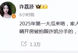许荔莎揭发许凯出轨炮轰于正！何晟铭：再见了白月光