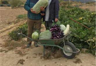 244人无一人通过，华人在西班牙考驾照有多难？