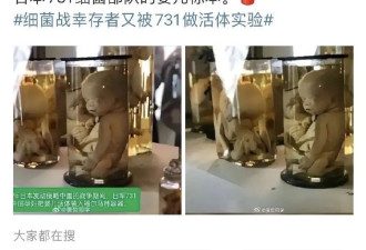 造谣式爱国，终于翻车了