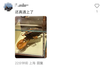 LV“龙虾包”售价55500元！网友：实在欣赏不来……