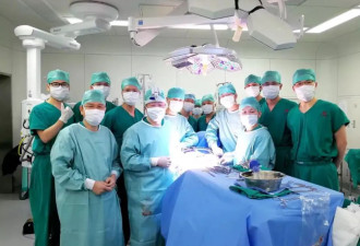 “复活”离体猪头，专访器官医学开拓者何晓顺