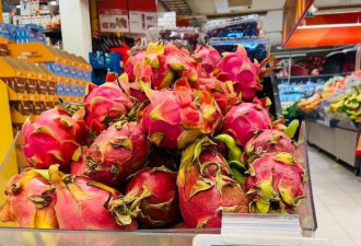 身价140亿中国网红夫妇挪威捡垃圾 叹好东西太多