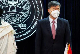 谁的错？美媒曝塔利班与中国石油协议破裂内幕