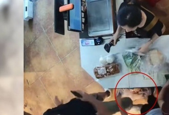 3岁中国男童超市制止插队 遭猛踹一脚