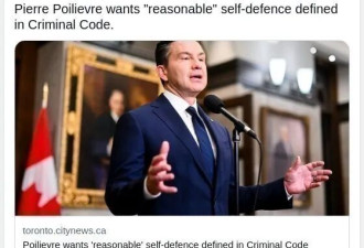 盗贼太嚣张！加拿大房主被逼拆房，保守党要修法撑腰