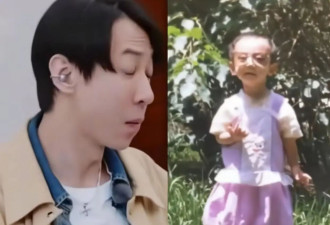 董璇为什么选择张维伊，原因很简单，因为....