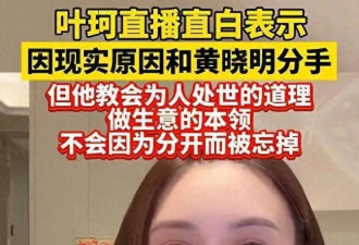 叶珂恢复直播人气暴涨，与黄先生情断后生活无忧，宠物展被偶遇
