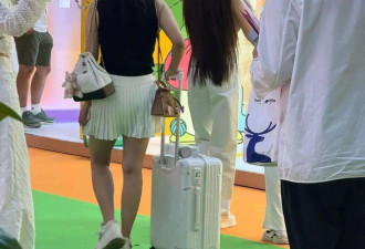 叶珂恢复直播人气暴涨，与黄先生情断后生活无忧，宠物展被偶遇