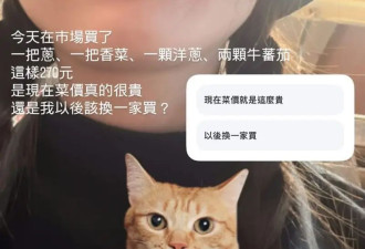 女演员柯佳嬿吐槽菜价太贵！买了四种菜花费270元台币