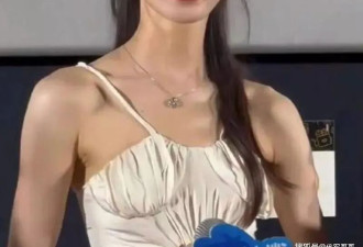揭秘35岁美女演员宋轶被曝整容真实内幕
