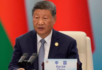 习近平：向成员国提供20亿无偿援助 建上合开发银行