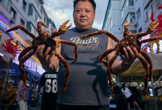 实现“帝王蟹自由” 被严重低估的中国宝藏小城