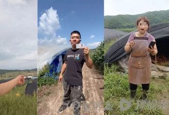吉林灵芝种植户联名举报网红虚假宣传冒充产地