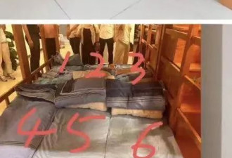 学校午休室住近百人？官方：二孩入学潮致空间不足