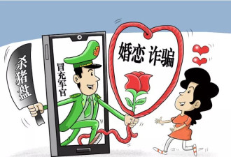 无语！65岁婆婆网上寻爱遇“杀猪盘”被骗20万元