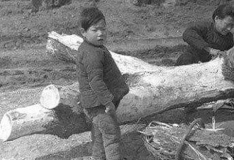 饥荒研究报告:1959~1961年中国饥荒的回顾及启示