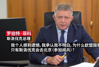 九三阅兵式：斯洛伐克将是唯一出席的欧盟成员国