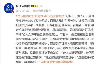 岳云鹏淘汰扬州炒饭 网友:588的炒饭?淘汰的对