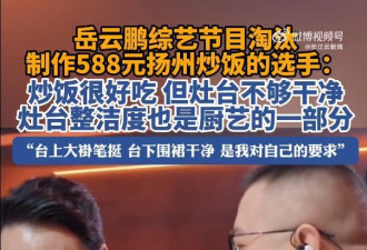 岳云鹏淘汰扬州炒饭 网友:588的炒饭?淘汰的对