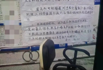 传毛左贴“总书记下台”大字报！海外热议